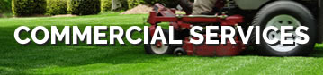 COMMERCIAL SERVICES